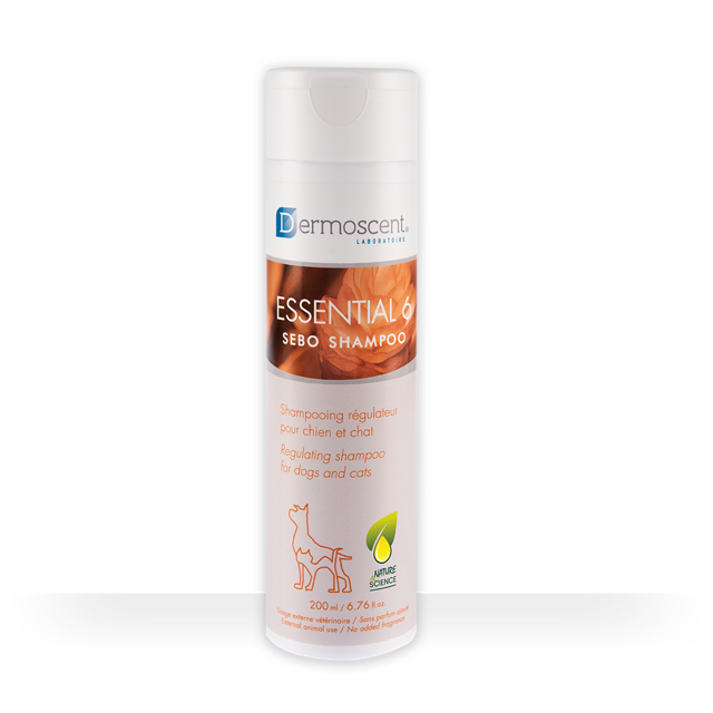 Essential 6® Sebo Shampoo