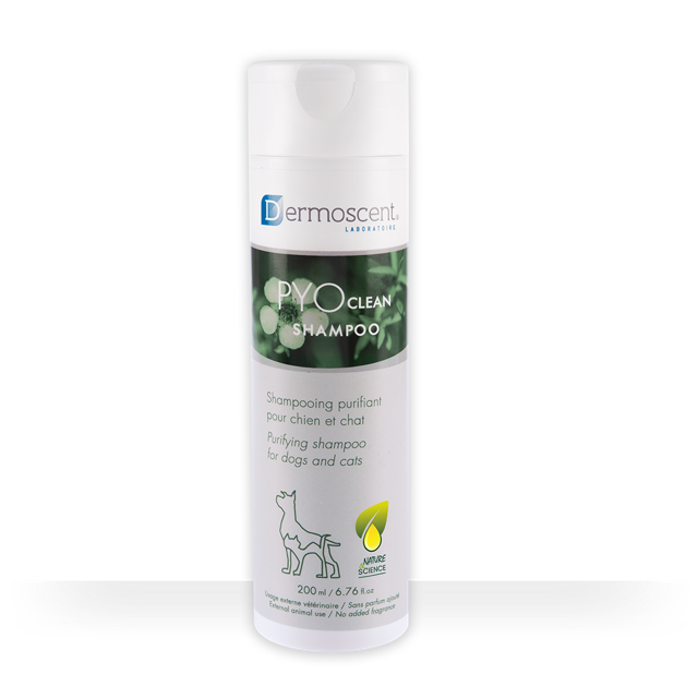 PYOclean® Shampoo